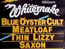 MONSTERS OF ROCK - 1983 - Konzertplakat - Whitesnake - Thin Lizzy - Kaiserslaute