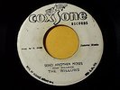 The Willow - Send Another Moses /Reggae 45