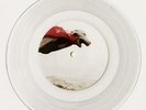 SKRATCHY SEAL Baby Super Seal CLEAR 7