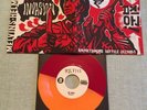 Melvins/helmet 2013 Invasion Australian Tour Edition