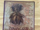 Dinosaur Jr. - Bug (2005, Limited Splatter Vinyl)