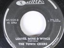 Hear  Garage Rare New York 45 The Town Criers - Leaves, Mine & Wings / Anabel Le