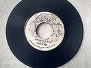 THE SLICKER - JOHNNY TOO BAD/ VERSION/ PANTHER 7