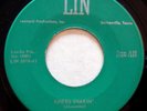 LIN 5018 Don Terry orig Rockabilly 45 Mint Minus Knees Shakin'