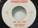 Duvals Ferny Roast / Last Surf Prelude surf rocker tittyshaker 45