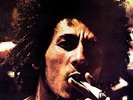 Catch A Fire - Bob Marley (Vinyl Used Very Good)