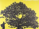 Jack Johnson - In Between Dreams (Vinyl LP) NEU&OVP