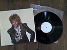 David Bowie Rare Into the Labyrinth Album