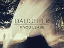 Daughter - If You Leave [Vinyl New]
