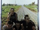 CLASH Combat Rock ORIG 12