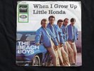 The Beach Boys:When I Grow up       Deutsche Odeon