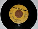 COUNT AND THE COLONY-CAN'T YOU SEE? RARE MICHIGAN GARAGE 45 PA GO GO 7