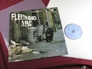 Fleetwood Mac  PETER GREEN'S FLEETWOOD MAC - LP Blue Horizon - 1968 near mint