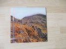 SECTION 25 FROM THE HIP ORIGINAL VINYL LP NEW ORDER