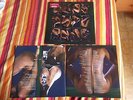 CATHERINE WHEEL ADAM AND EVE 2LP NEW & UNPLAYED LIMITED EDITION