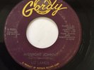 RARE MOTOWN SOUL 45/ LIZ LANDS 