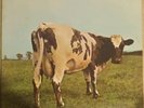 Pink Floyd- Atom Heart Mother Original US SEALED LP SKAO-382