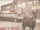 GOV`T MULE 