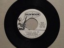 SHADOWS OF KNIGHT Someone Like me / Three For Love 1967 PSYCH/GARAGE 45 DUNWICH