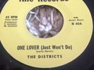 Rare Northern Soul The Districts One Lover ( Just Won't Do ) Nile