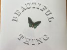 THE STONE ROSES BEAUTIFUL THING 12
