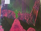 Dinosaur Jr 