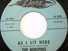 THE WHISPERS As I Sit Here b/w Shake It 45 NORTHERN SOUL MINT- ORIG DORE 740