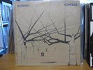 ICEHOUSE FLOWERS RECORD LP GATEFOLD