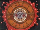 GUNS N ROSES Live And Let Die  12