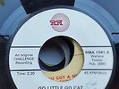 FOUR TEENS  RM REPRO LABEL   45 GO LITTLE GO CAT       HARD TO FIND