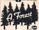 THE CURE - A FOREST  - AUSTRALIA 7