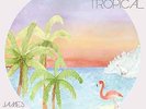 James Vincent McMorrow-Post Tropical  Vinyl / 12