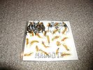 NunSlaughter / Mutilated Messiah - Split Pic 7