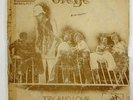 Ofege 