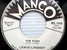 LEWIS LINDSEY rockabilly 45 THE PUSH / A PLEDGE & A RING VG++ e9793