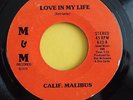 CALIF. MALIBUS 