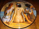 PINK FLOYD RARE BEAUTIES PICTURE DISC 12