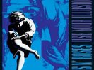 Guns N' Roses-Use Your Illusion II  (US IMPORT)  Vinyl / 12