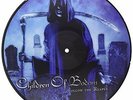 CHILDREN OF BODOM-FOLLOW THE REAPER (LTD) (PICT)  (US IMPORT)  VINYL LP NEW