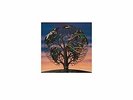 TALK TALK-LAUGHING STOCK  (US IMPORT)  VINYL LP NEW