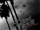 DEAD SARA-PLEASURE TO MEET YOU (GATE)  (US IMPORT)  VINYL LP NEW