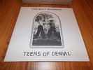 Car Seat Headrest Teens Of Denial Record