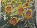 SUNNYBOYS INDIVIDUALS OZ MUSHROOM JEREMY, PETER OXLEY BIL BILSON RICHARD BURGMAN