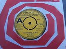 TURTLES YOU DON'T HAVE TO WALK IN THE RAIN RARE LONDON DEMO COME OVER HLU 10279