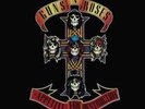 Guns N' Roses-Appetite for Destruction  Vinyl / 12