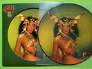 Cher - Take Me Home LP   Rare Picture Disc Casablanca Records USA 1979