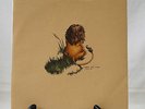 Pedro The Lion Whole EP 10
