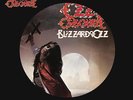 Blizzard Of Ozz - Ozzy Osbourne (2011, Vinyl NEW) Picture Disc