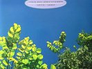 The Go-Betweens - 1978-1990 2xLP- LP VINYL