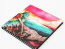Nujabes / Spiritual State - Tribe Edition [CD + 7inch Vinyl] Limited 500 Hydeout